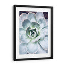Belleza Suculenta Pastel Iv - Irena Orlov | Cuadro decorativo de Canvas Lab