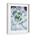 Belleza Suculenta Pastel Iv - Irena Orlov | Cuadro decorativo de Canvas Lab