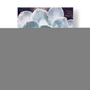 Belleza Suculenta Pastel Iv - Irena Orlov | Cuadro decorativo de Canvas Lab