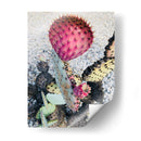 Cactus Amarillo Rosa I - Irena Orlov | Cuadro decorativo de Canvas Lab