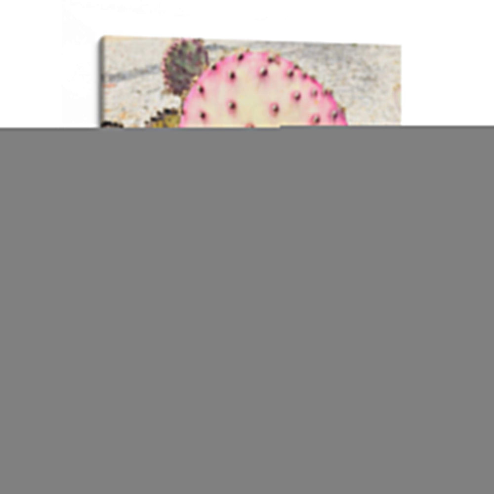 Cactus Amarillo Rosa Ii - Irena Orlov | Cuadro decorativo de Canvas Lab