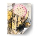 Cactus Amarillo Rosa Ii - Irena Orlov | Cuadro decorativo de Canvas Lab