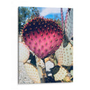 Cactus Amarillo Rosa Iii - Irena Orlov | Cuadro decorativo de Canvas Lab