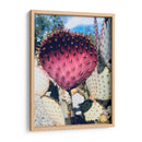 Cactus Amarillo Rosa Iii - Irena Orlov | Cuadro decorativo de Canvas Lab