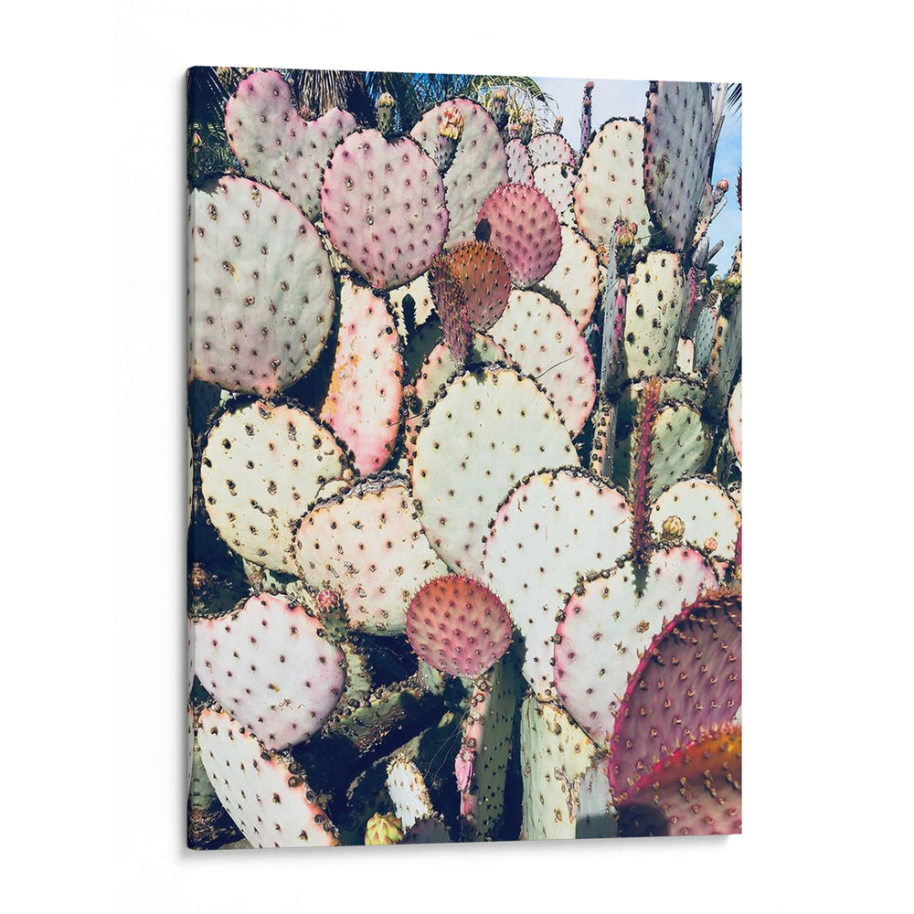 Cactus Amarillo Rosa Iv - Irena Orlov | Cuadro decorativo de Canvas Lab