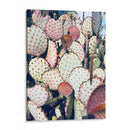 Cactus Amarillo Rosa Iv - Irena Orlov | Cuadro decorativo de Canvas Lab
