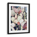 Cactus Amarillo Rosa Iv - Irena Orlov | Cuadro decorativo de Canvas Lab