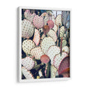 Cactus Amarillo Rosa Iv - Irena Orlov | Cuadro decorativo de Canvas Lab