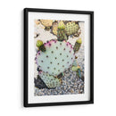 Cactus Verde Rosa I - Irena Orlov | Cuadro decorativo de Canvas Lab