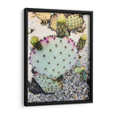 Cactus Verde Rosa I - Irena Orlov | Cuadro decorativo de Canvas Lab