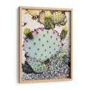Cactus Verde Rosa I - Irena Orlov | Cuadro decorativo de Canvas Lab