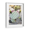 Cactus Verde Rosa I - Irena Orlov | Cuadro decorativo de Canvas Lab