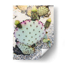 Cactus Verde Rosa I - Irena Orlov | Cuadro decorativo de Canvas Lab