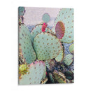 Cactus Verde Rosa Ii - Irena Orlov | Cuadro decorativo de Canvas Lab