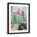 Cactus Verde Rosa Ii - Irena Orlov | Cuadro decorativo de Canvas Lab