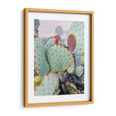 Cactus Verde Rosa Ii - Irena Orlov | Cuadro decorativo de Canvas Lab