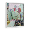 Cactus Verde Rosa Ii - Irena Orlov | Cuadro decorativo de Canvas Lab