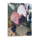 Cactus Verde Rosa Iii - Irena Orlov | Cuadro decorativo de Canvas Lab