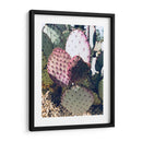 Cactus Verde Rosa Iii - Irena Orlov | Cuadro decorativo de Canvas Lab
