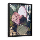 Cactus Verde Rosa Iii - Irena Orlov | Cuadro decorativo de Canvas Lab
