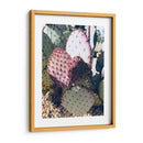 Cactus Verde Rosa Iii - Irena Orlov | Cuadro decorativo de Canvas Lab