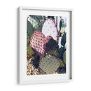 Cactus Verde Rosa Iii - Irena Orlov | Cuadro decorativo de Canvas Lab