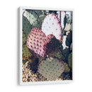 Cactus Verde Rosa Iii - Irena Orlov | Cuadro decorativo de Canvas Lab