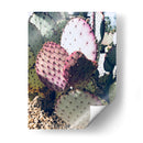 Cactus Verde Rosa Iii - Irena Orlov | Cuadro decorativo de Canvas Lab