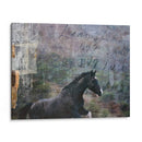 Exposiciones De Caballos I - Allen Friedlander | Cuadro decorativo de Canvas Lab