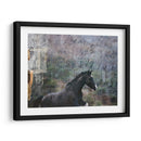 Exposiciones De Caballos I - Allen Friedlander | Cuadro decorativo de Canvas Lab