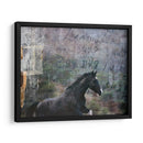 Exposiciones De Caballos I - Allen Friedlander | Cuadro decorativo de Canvas Lab