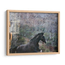 Exposiciones De Caballos I - Allen Friedlander | Cuadro decorativo de Canvas Lab