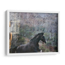 Exposiciones De Caballos I - Allen Friedlander | Cuadro decorativo de Canvas Lab