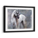 Exposiciones De Caballos Ii - Allen Friedlander | Cuadro decorativo de Canvas Lab