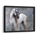 Exposiciones De Caballos Ii - Allen Friedlander | Cuadro decorativo de Canvas Lab