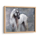 Exposiciones De Caballos Ii - Allen Friedlander | Cuadro decorativo de Canvas Lab
