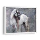 Exposiciones De Caballos Ii - Allen Friedlander | Cuadro decorativo de Canvas Lab