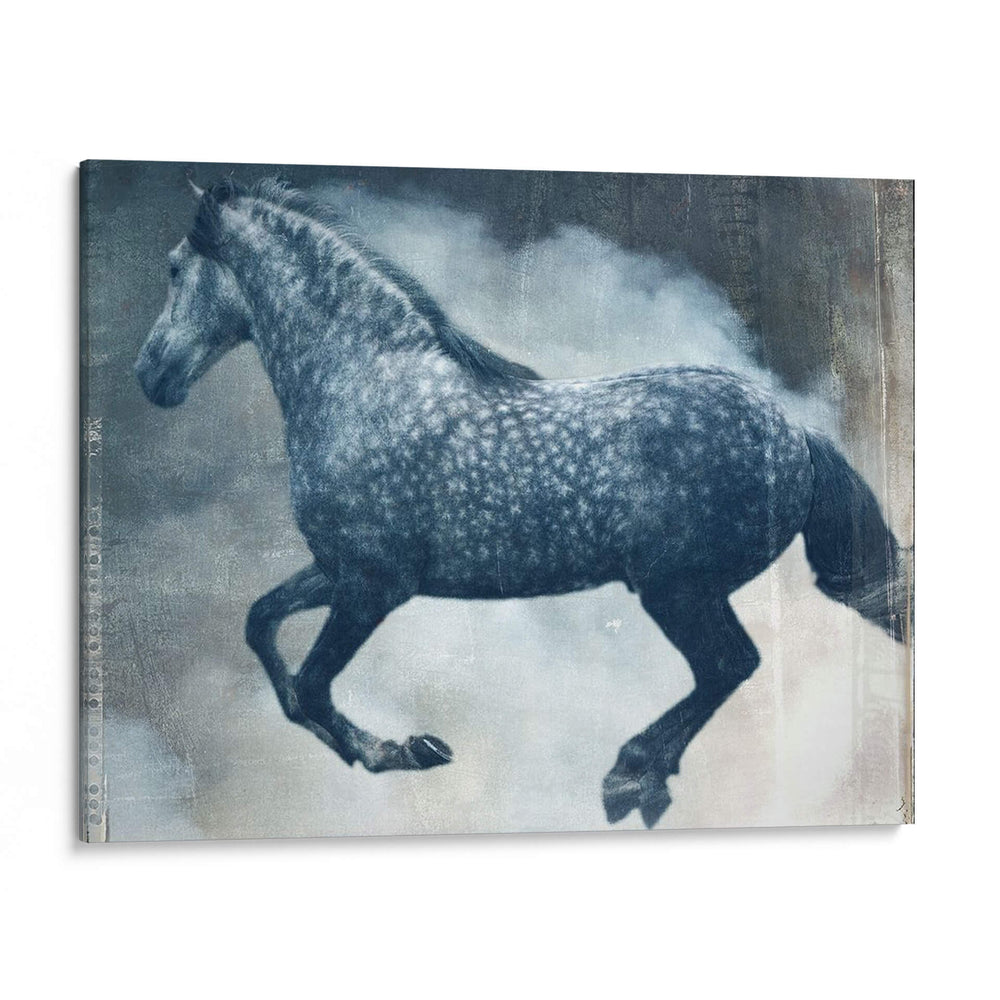Exposiciones De Caballos Iii - Allen Friedlander | Cuadro decorativo de Canvas Lab
