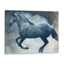 Exposiciones De Caballos Iii - Allen Friedlander | Cuadro decorativo de Canvas Lab