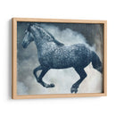 Exposiciones De Caballos Iii - Allen Friedlander | Cuadro decorativo de Canvas Lab