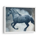 Exposiciones De Caballos Iii - Allen Friedlander | Cuadro decorativo de Canvas Lab
