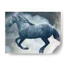 Exposiciones De Caballos Iii - Allen Friedlander | Cuadro decorativo de Canvas Lab