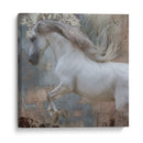 Exposiciones De Caballos Iv - Allen Friedlander | Cuadro decorativo de Canvas Lab