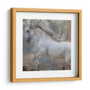 Exposiciones De Caballos Iv - Allen Friedlander | Cuadro decorativo de Canvas Lab