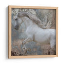Exposiciones De Caballos Iv - Allen Friedlander | Cuadro decorativo de Canvas Lab