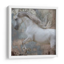 Exposiciones De Caballos Iv - Allen Friedlander | Cuadro decorativo de Canvas Lab