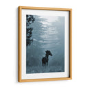 Caballo En Los Arboles I - Allen Friedlander | Cuadro decorativo de Canvas Lab