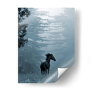 Caballo En Los Arboles I - Allen Friedlander | Cuadro decorativo de Canvas Lab