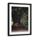 Caballo En Los Árboles Ii - Allen Friedlander | Cuadro decorativo de Canvas Lab