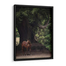 Caballo En Los Árboles Ii - Allen Friedlander | Cuadro decorativo de Canvas Lab